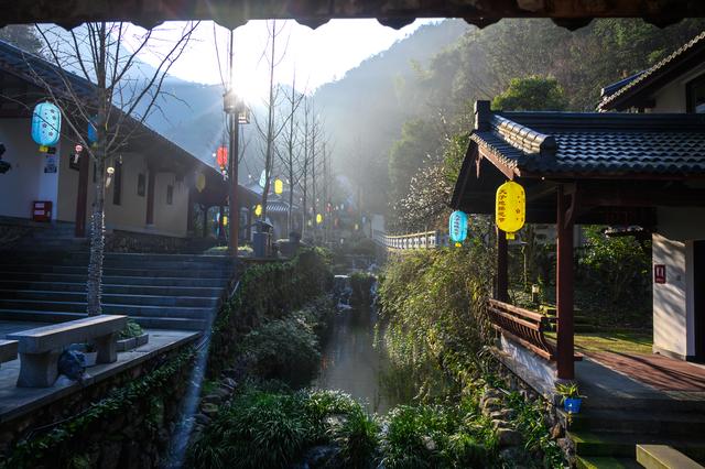 野樱花开满山的三月，我们一起去桐庐，看一场浪漫的樱花雨