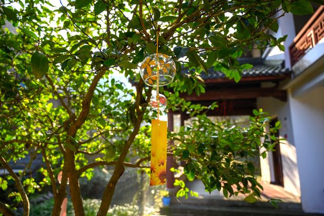 野樱花开满山的三月,我们一起去桐庐,看一场浪漫的樱花雨