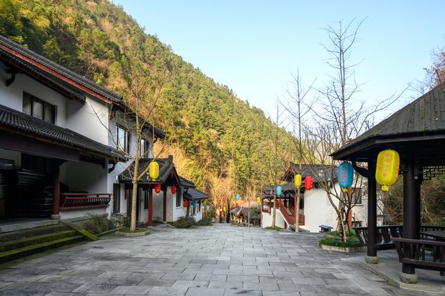 野樱花开满山的三月,我们一起去桐庐,看一场浪漫的樱花雨