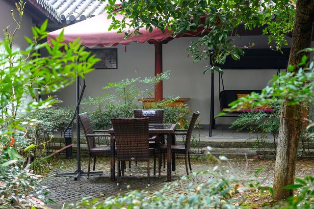 野樱花开满山的三月,我们一起去桐庐,看一场浪漫的樱花雨