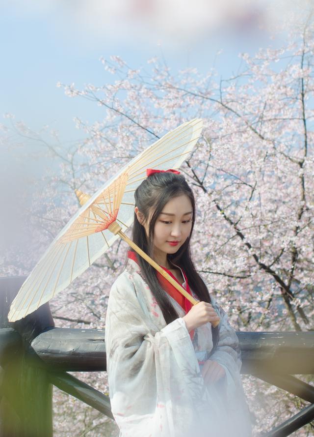 野樱花开满山的三月,我们一起去桐庐,看一场浪漫的樱花雨