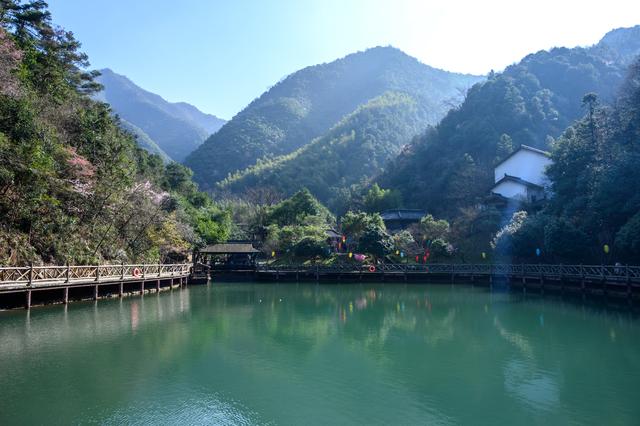 野樱花开满山的三月，我们一起去桐庐，看一场浪漫的樱花雨