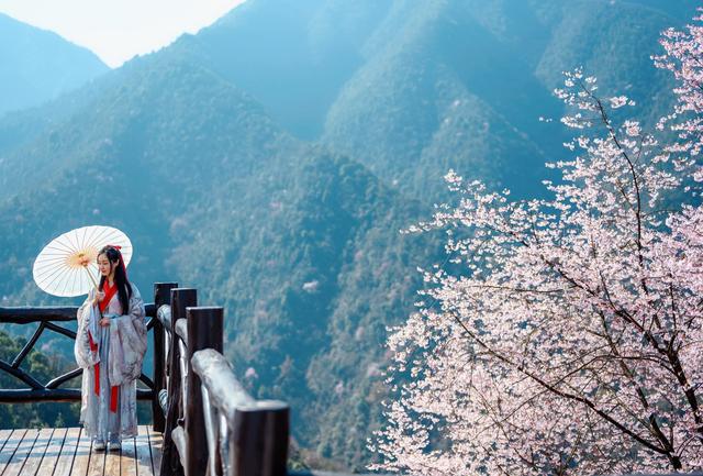 野樱花开满山的三月，我们一起去桐庐，看一场浪漫的樱花雨