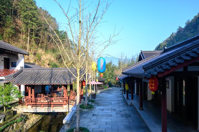 野樱花开满山的三月,我们一起去桐庐,看一场浪漫的樱花雨