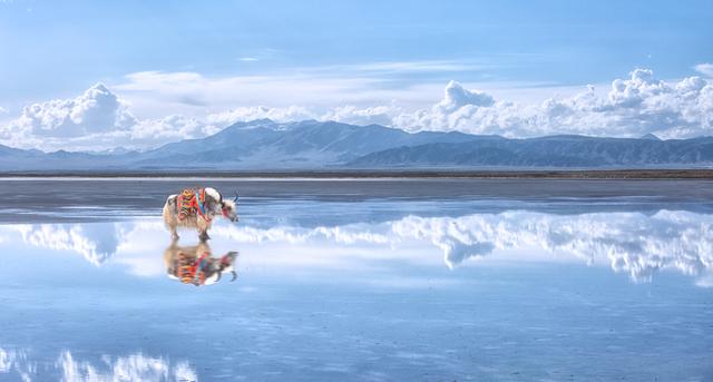 到青海旅游必看的三个景点,你都来过吗?