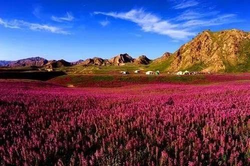 青海这30个绝美景点,你打卡过几个?