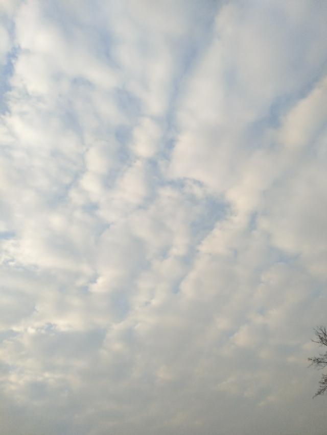 地震云――民间解说与形成原理