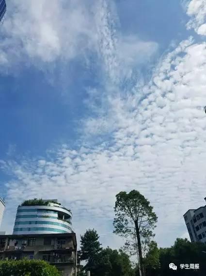 「小记播报」地震云真的存在吗?