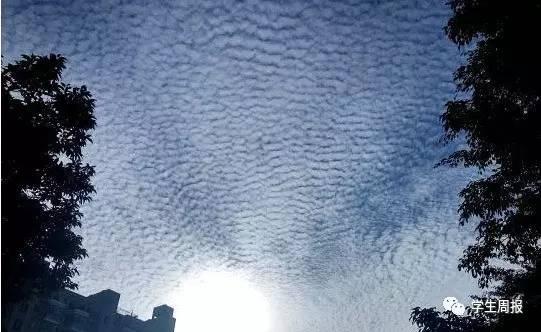「小记播报」地震云真的存在吗?