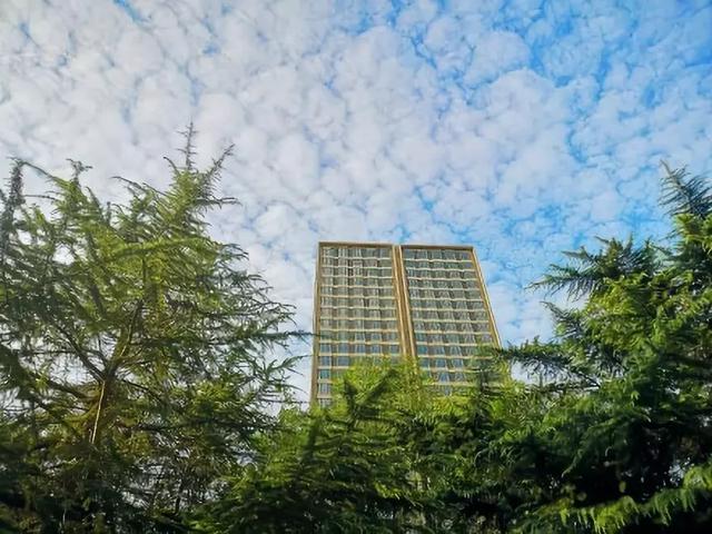 乐亭惊现“地震云”?网友吵翻了!真相竟是……