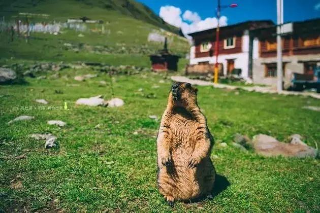 27个浪漫旅行地，往后余生，我想和你一一走遍