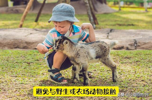 被认为可以预防传染病的10种方法