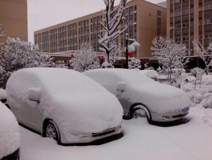 对于“雷打雪” 你知道多少