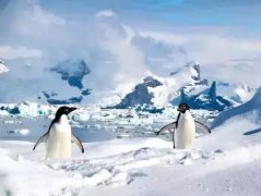 什么是“南极带” 小编为