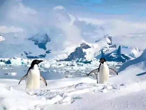 什么是“南极带” 小编为您解答