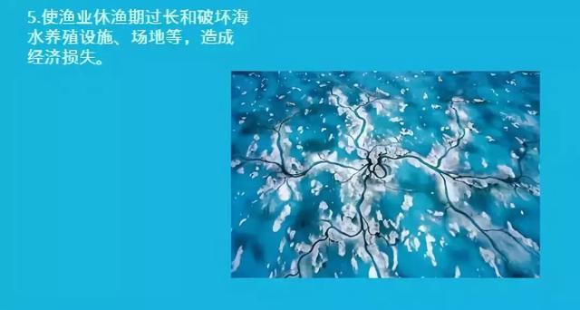 海啸中如何逃生?这些海洋灾害知识你必须知道!