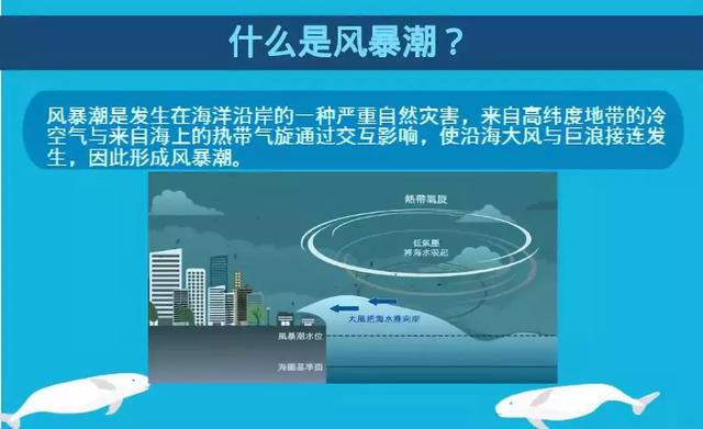 海啸中如何逃生?这些海洋灾害知识你必须知道!