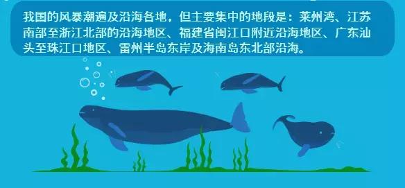 海啸中如何逃生?这些海洋灾害知识你必须知道!
