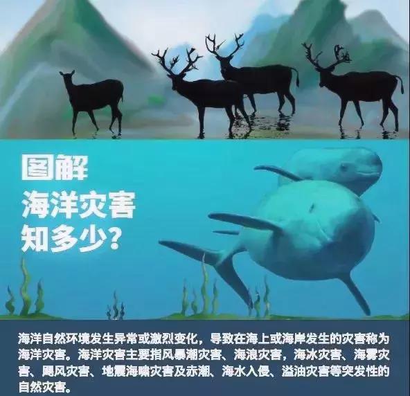海啸中如何逃生?这些海洋灾害知识你必须知道!