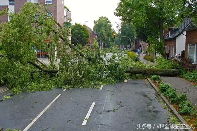 海啸,台风、地震……旅行时遇到自然灾害的自救常识必须get一下!