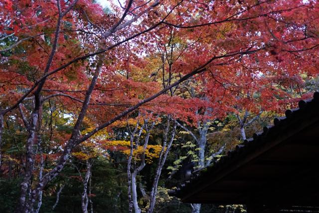 有马温泉的隐藏打卡地：一碗“山川异域，风月同天”的关东煮