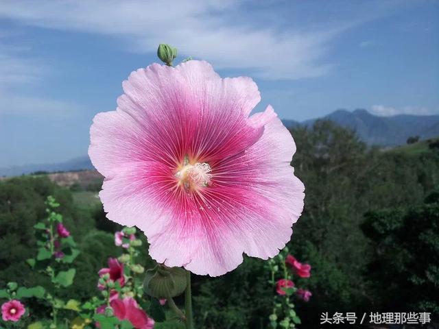 雾霾是怎样形成的，看完这个你就明白啦