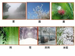雾的分类成因和高考题专