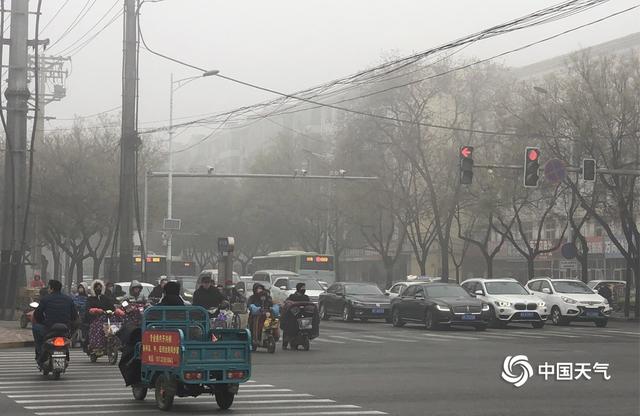 大雾橙色预警信号！河北衡水大雾迷城 交通受阻