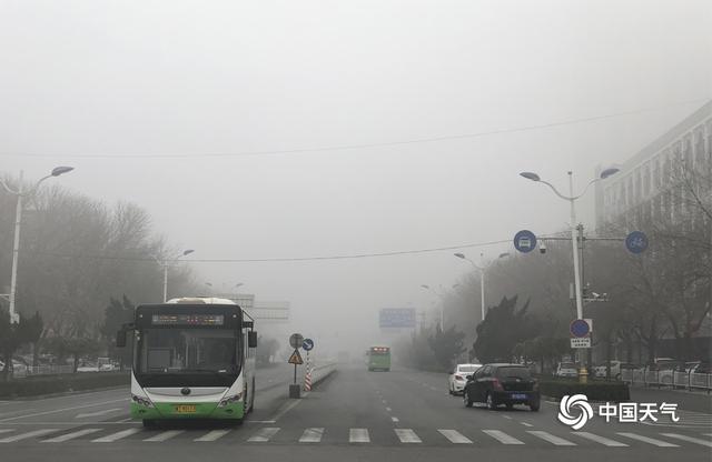 大雾橙色预警信号！河北衡水大雾迷城 交通受阻