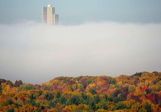 盘点世界各地城市的大雾景象，增加了魔幻色彩