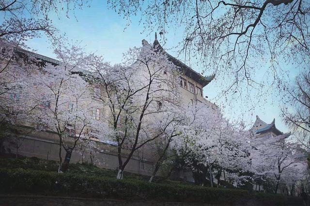 用16张照片记录武汉最值得去的4大景点，景点2鲜有人知
