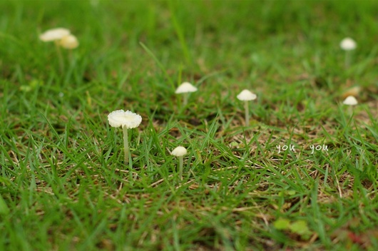 “梅雨”季节 你知道多少