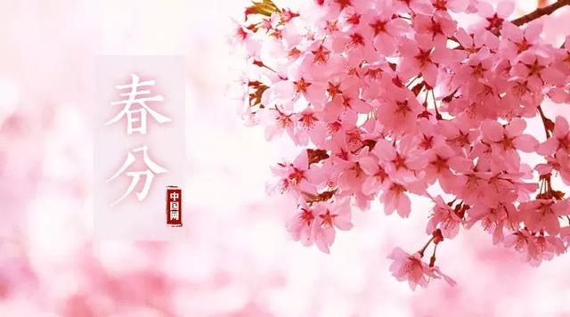 春分来了,昼夜平分,正是赏花时