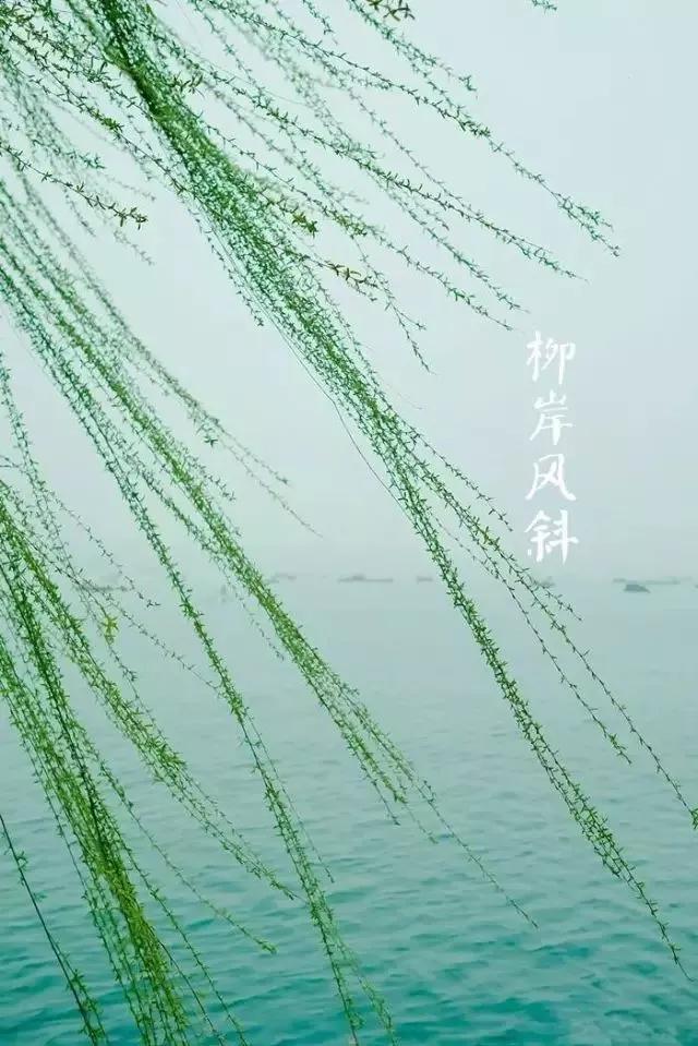 春分来了,昼夜平分,正是赏花时