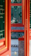 正是一年最美时