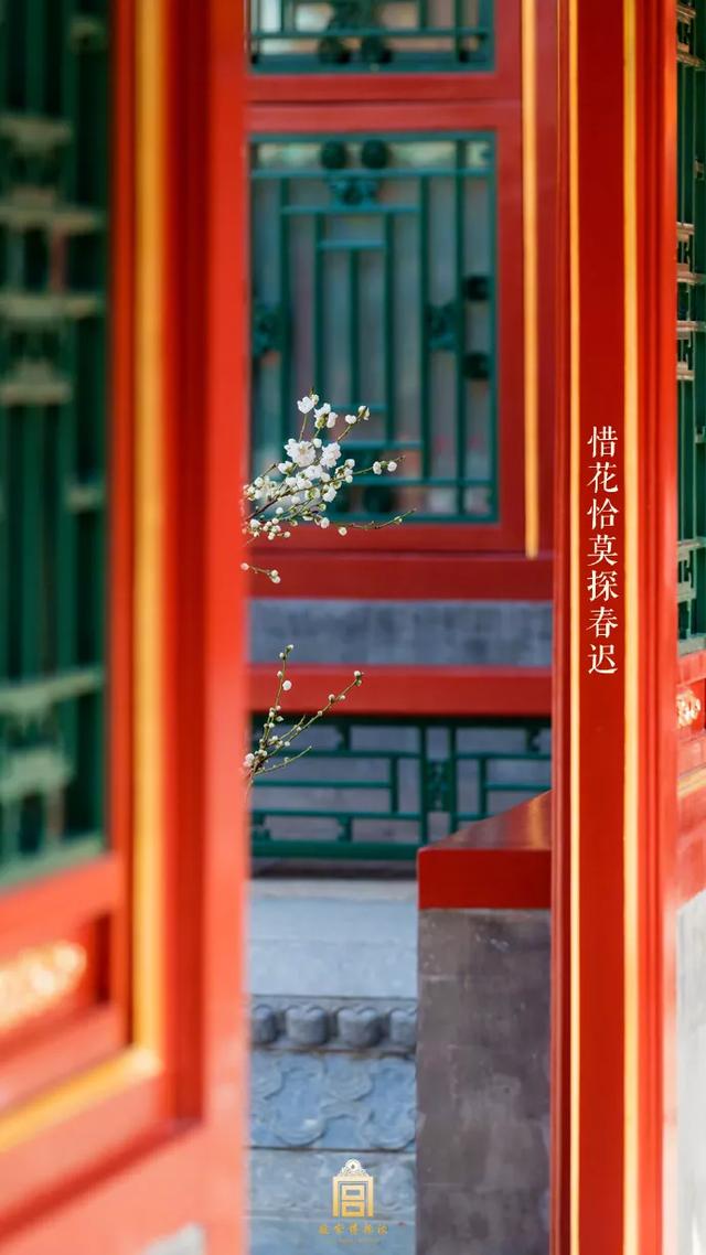 春分：正是一年最美时