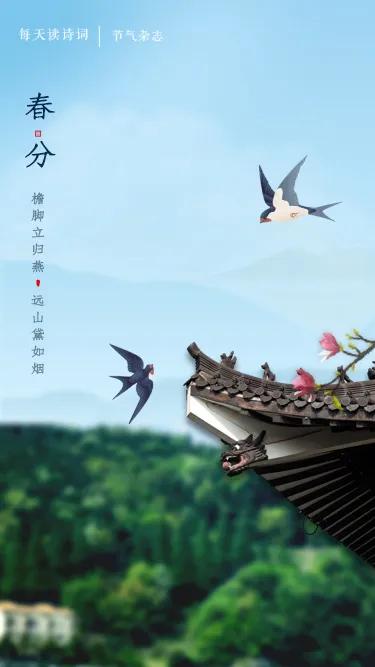 今日春分:春天进入后半场,梦里花落知多少