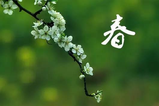 春天来了,这些疾病会在春天高发,我们应如何预防!医生说了实话