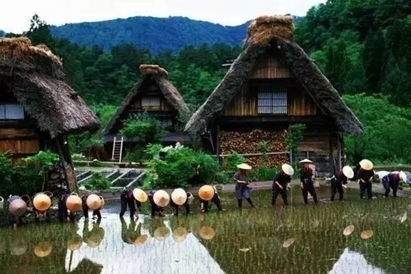 看了真实的日本农村,给我国乡村旅游旅游带来哪些启发?