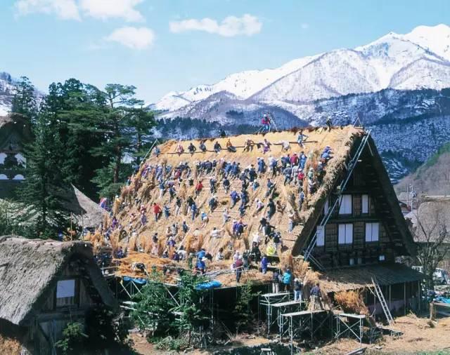 看了真实的日本农村,给我国乡村旅游旅游带来哪些启发?