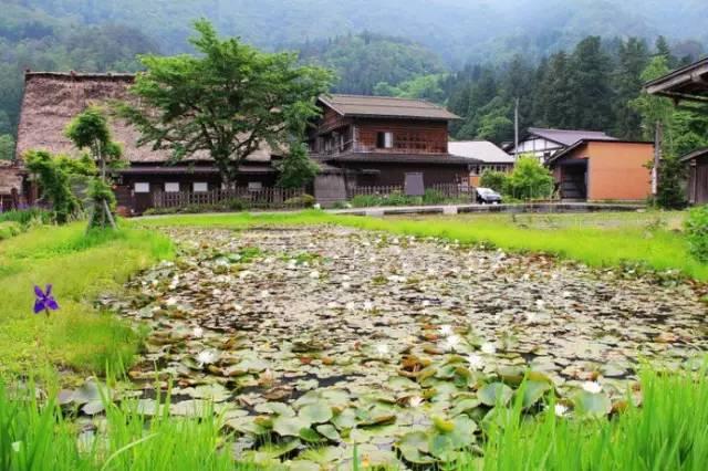 看了真实的日本农村,给我国乡村旅游旅游带来哪些启发?