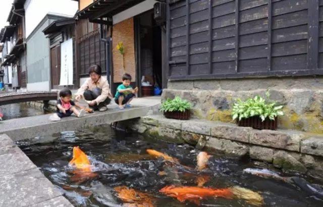 看了真实的日本农村,给我国乡村旅游旅游带来哪些启发?