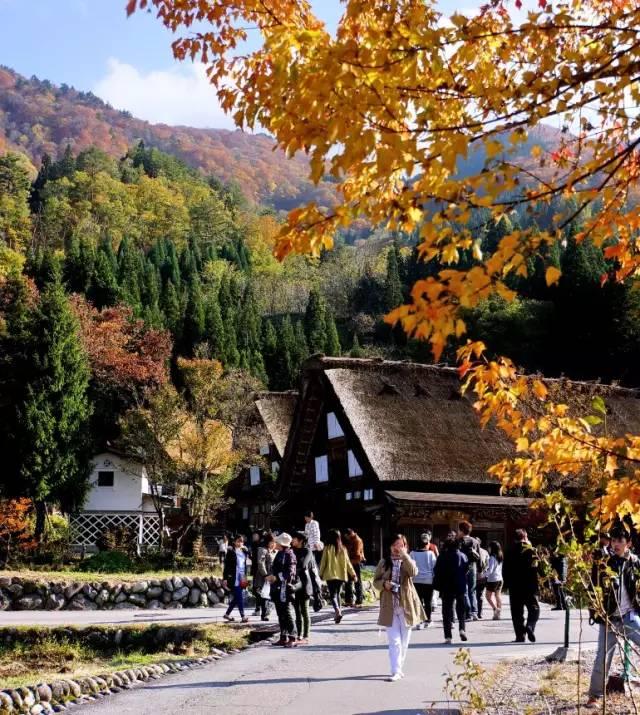 看了真实的日本农村,给我国乡村旅游旅游带来哪些启发?