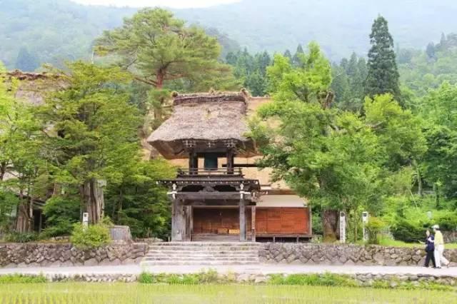 看了真实的日本农村,给我国乡村旅游旅游带来哪些启发?