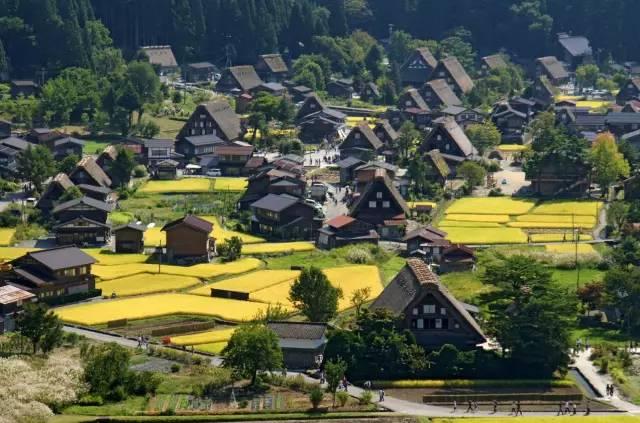看了真实的日本农村,给我国乡村旅游旅游带来哪些启发?