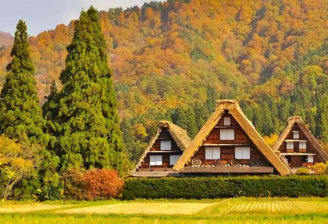 看了真实的日本农村,给我国乡村旅游旅游带来哪些启发?