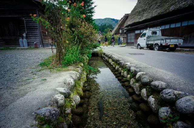看了真实的日本农村,给我国乡村旅游旅游带来哪些启发?
