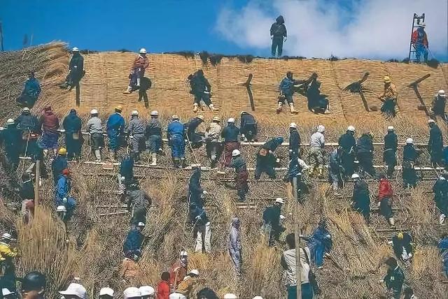 看了真实的日本农村,给我国乡村旅游旅游带来哪些启发?