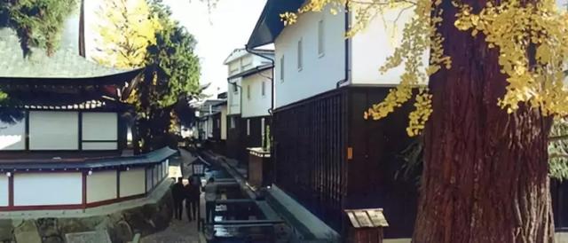 看了真实的日本农村,给我国乡村旅游旅游带来哪些启发?