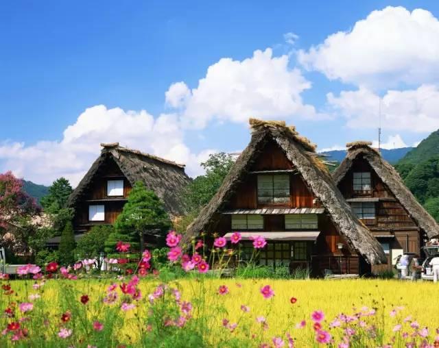 看了真实的日本农村,给我国乡村旅游旅游带来哪些启发?